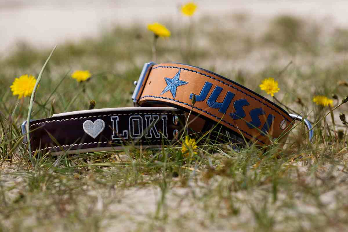 Handgemaakt Handgemaakte halsband met de naam van uw hond.
